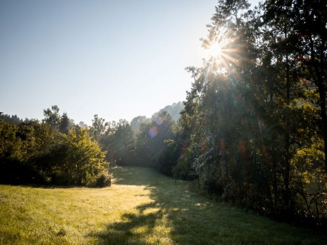Impression vom Wilheringer Pilgerweg