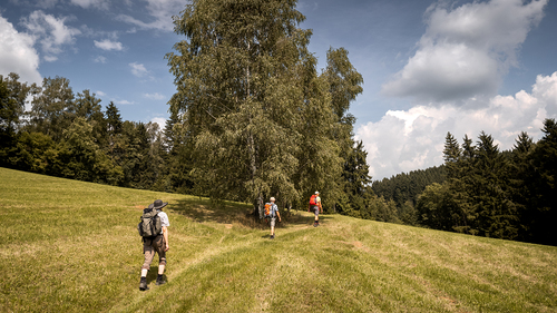 Impression vom Wilheringer Pilgerweg