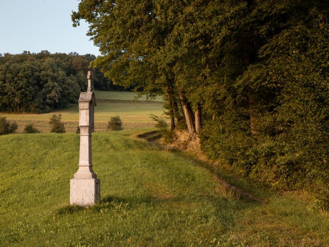 Impression vom Wilheringer Pilgerweg